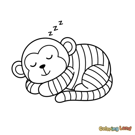 Cute Sleeping Monkey