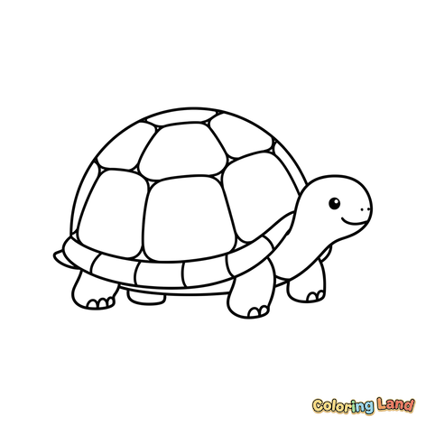 Lächelnde Schildkröte