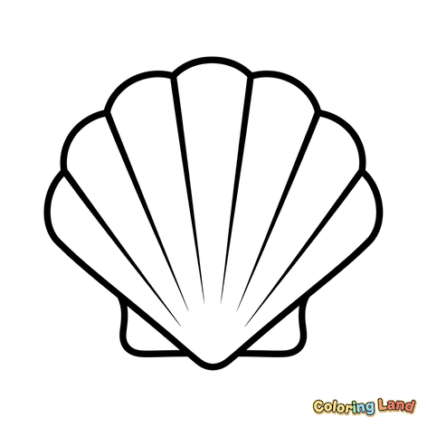 Coquille Saint-Jacques