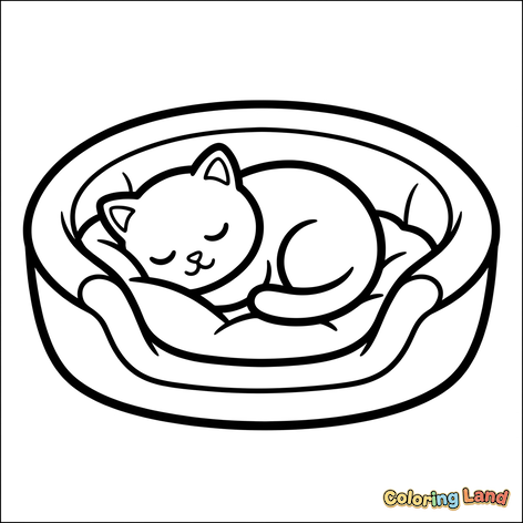 Sleeping Kitten in a Cozy Bed