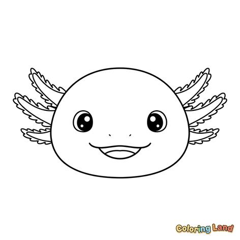 Față Drăguță de Axolotl