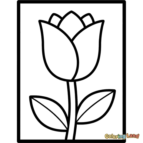 Enkel Tulipan i Ramme