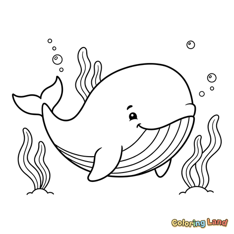 Ballena Amigable Nadando con Algas Marinas