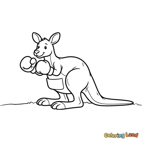 Kanguru Petinju Siap Bertarung