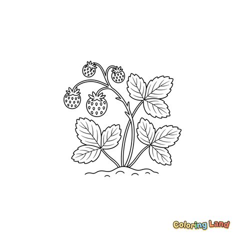 Tanaman Stroberi dengan Buah Beri