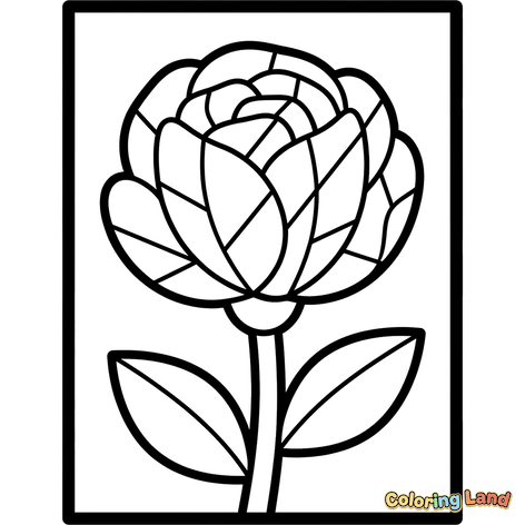 Elegant Segmented Flower