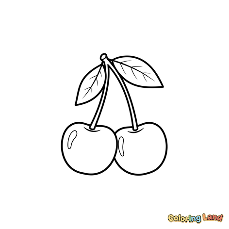 Sweet Cherries Ready to Color