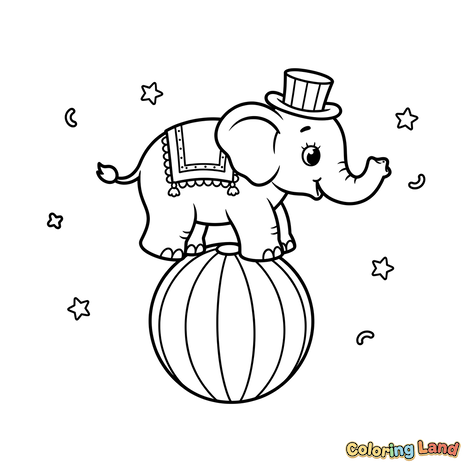 Elefant Drăguț de Circ în Echilibru pe Minge