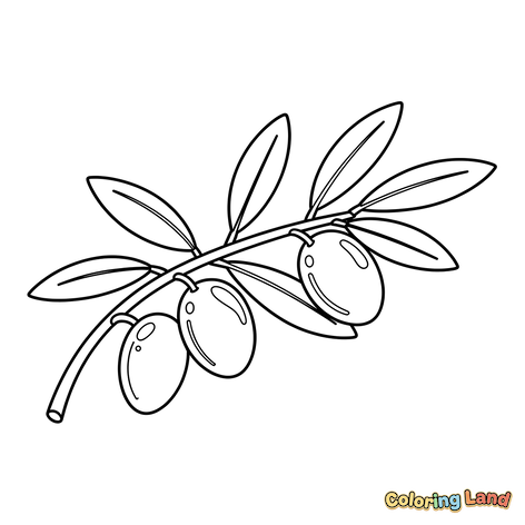 Olive Branch with Olives