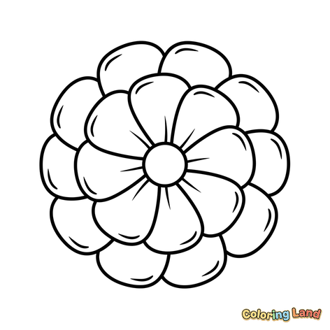 Bellissimo Fiore a Strati