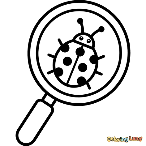 Coccinella sotto una lente d'ingrandimento