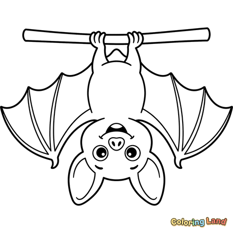Cute Bat Hanging Upside Down