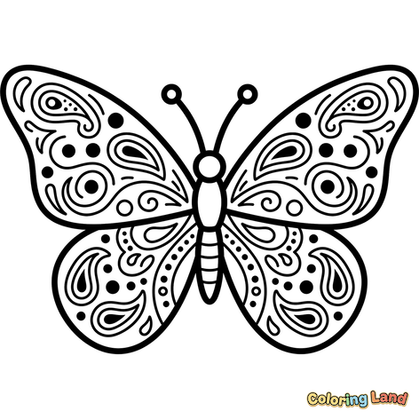 Decorative Pattern Butterfly