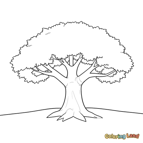 Majestätischer Alter Baum