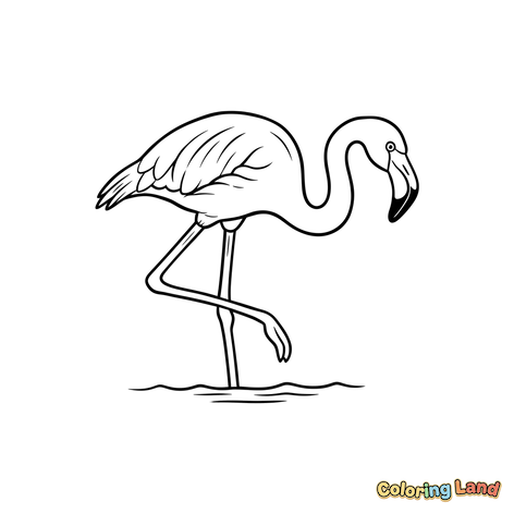 Graceful Flamingo in Water