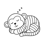 Monyet Tidur yang Lucu