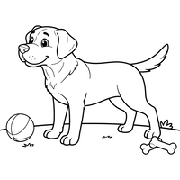 Cão Feliz com Bola e Ossos