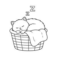 Slapende Kat in een Knus Mandje