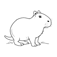 Capivara Pronta para Colorir
