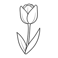 Kwiat Pojedynczego Tulipana