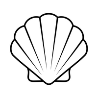 Coquille Saint-Jacques