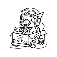 Racing Duck Pilot