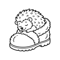 Sleeping Hedgehog in a Cozy Slipper