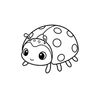 Coccinella Carina Maculata