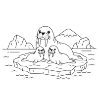 Walrossfamilie auf einer arktischen Eisscholle