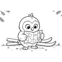 Petit hibou aventurier à skis