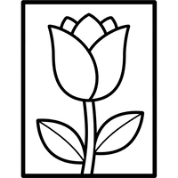 Einfache Tulpe im Rahmen