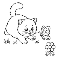 Playful Kitten and Butterfly