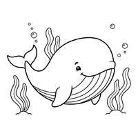 Baleia Amigável Nadando com Algas Marinhas