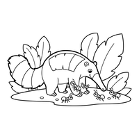 Anteater with Ants in the Jungle