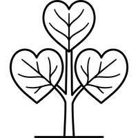 Baum mit herzförmigen Blättern