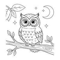 Cute Owl on a Branch at Night