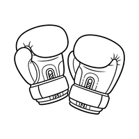 Par de Guantes de Boxeo