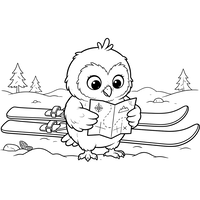 Gufo Avventuriero nella Neve