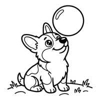 Lindo Filhote de Corgi e Bolha