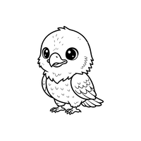 Cute Baby Eagle Standing