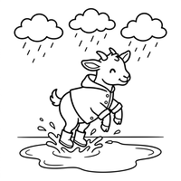 Cabra Feliz Saltando em Poças de Chuva