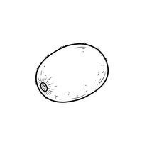 Kiwi Vrucht