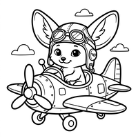 Raposa-do-Deserto Aviadora num Avião