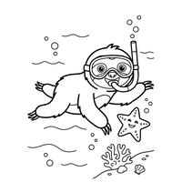 L'Avventura Subacquea del Bradipo Sub