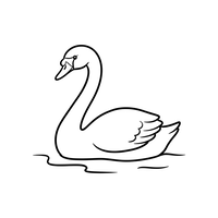 Anmutiger Schwan auf dem Wasser