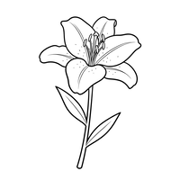 Contour de Fleur de Lys
