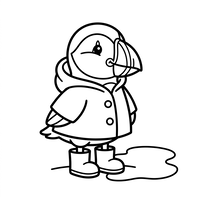 Tucán con impermeable
