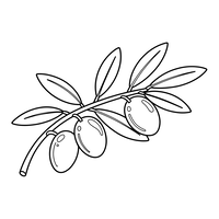 Branche d'Olivier avec des Olives