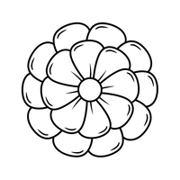 Bellissimo Fiore a Strati