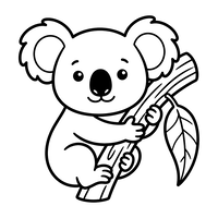 Cute Baby Koala on a Branch